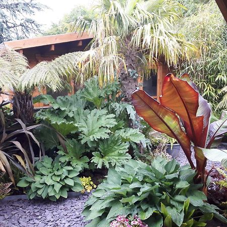 Cabin Set In A Beautiful Romantic Tropical Garden Sutton Coldfield Exterior photo